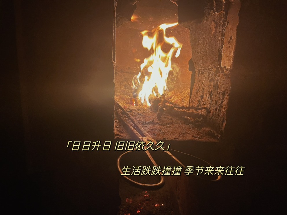 虹宝❣️出没了的图片
