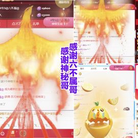 金麒麟安静唱歌🎤主播照片