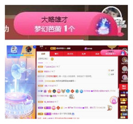 苏苏16号周年庆典的图片