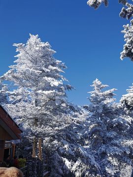 呀呀哟嘿、主播照片
