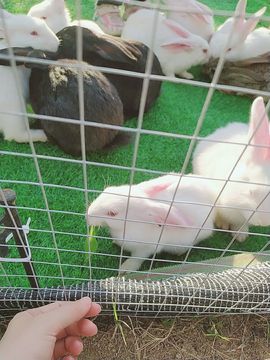 小明月*沉淀一下主播照片