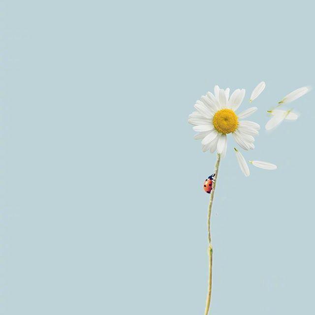 新：人兔兔吖的主播照片