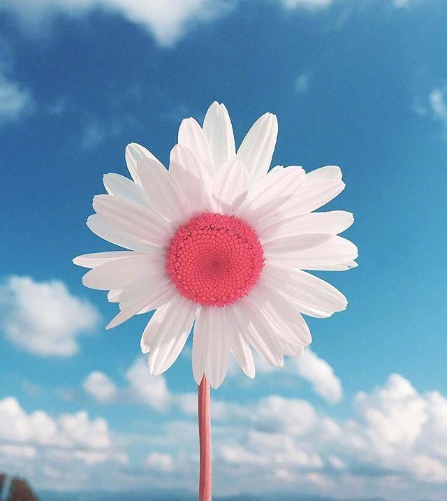 新：人兔兔吖的主播照片