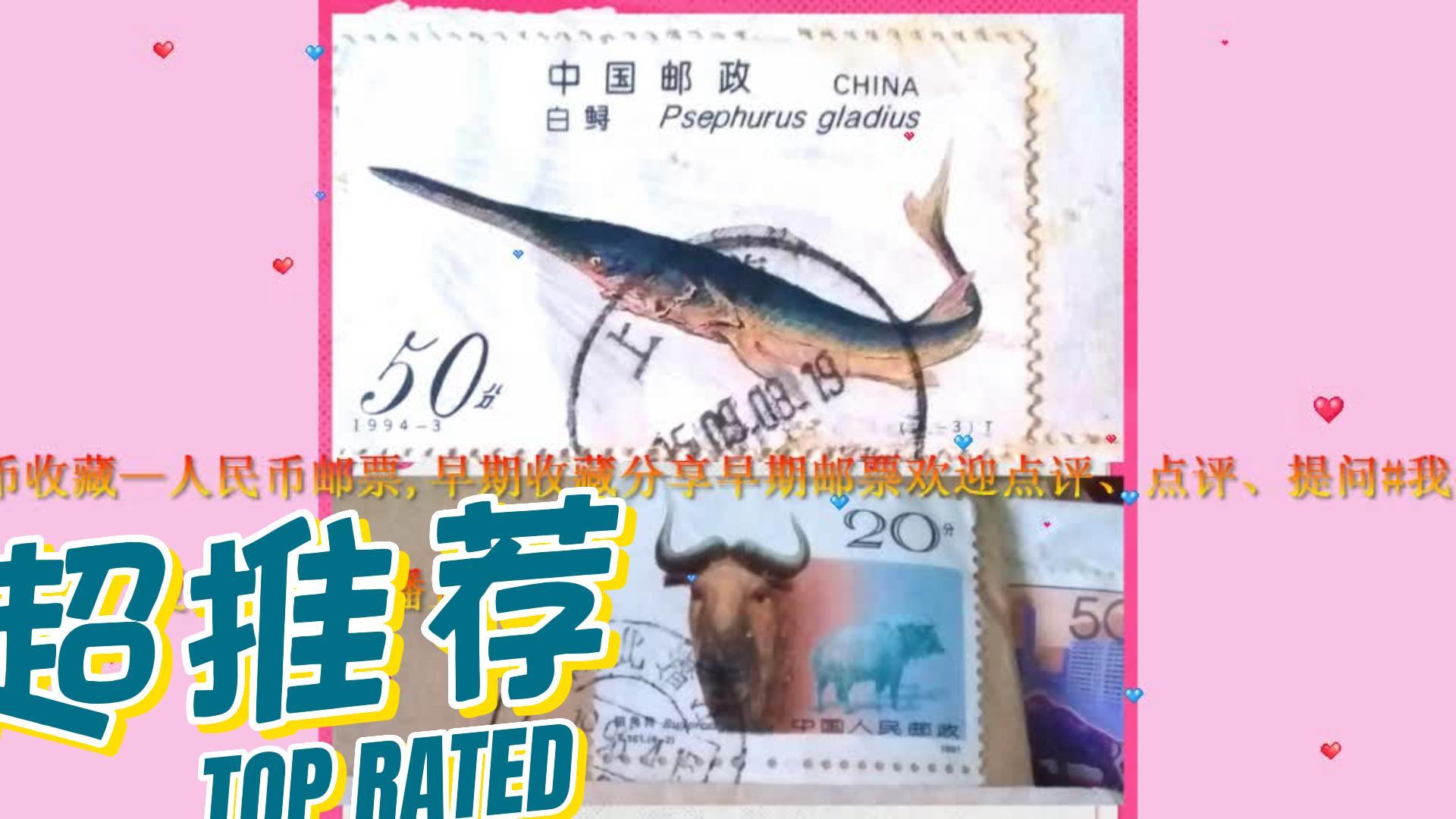 壮美小宝的主播照片