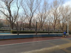 萌新宝宝cbll主播照片