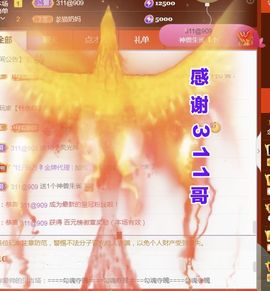 金麒麟安静唱歌🎤主播照片