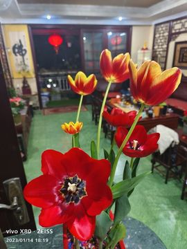 我元帥哥哥主播照片