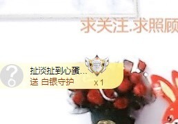 金牌代理❤玲儿❤主播照片