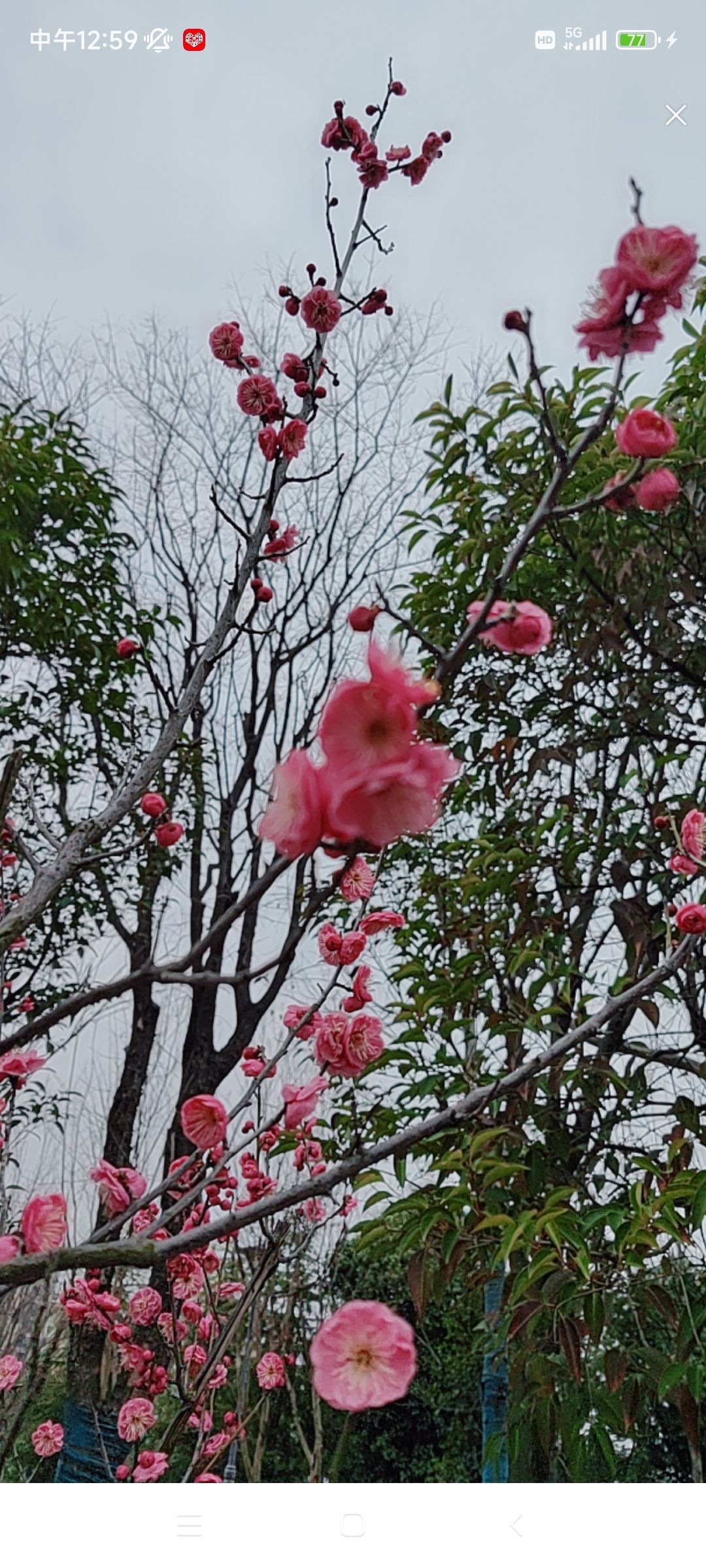 婷婷💕感恩有你陪伴的图片