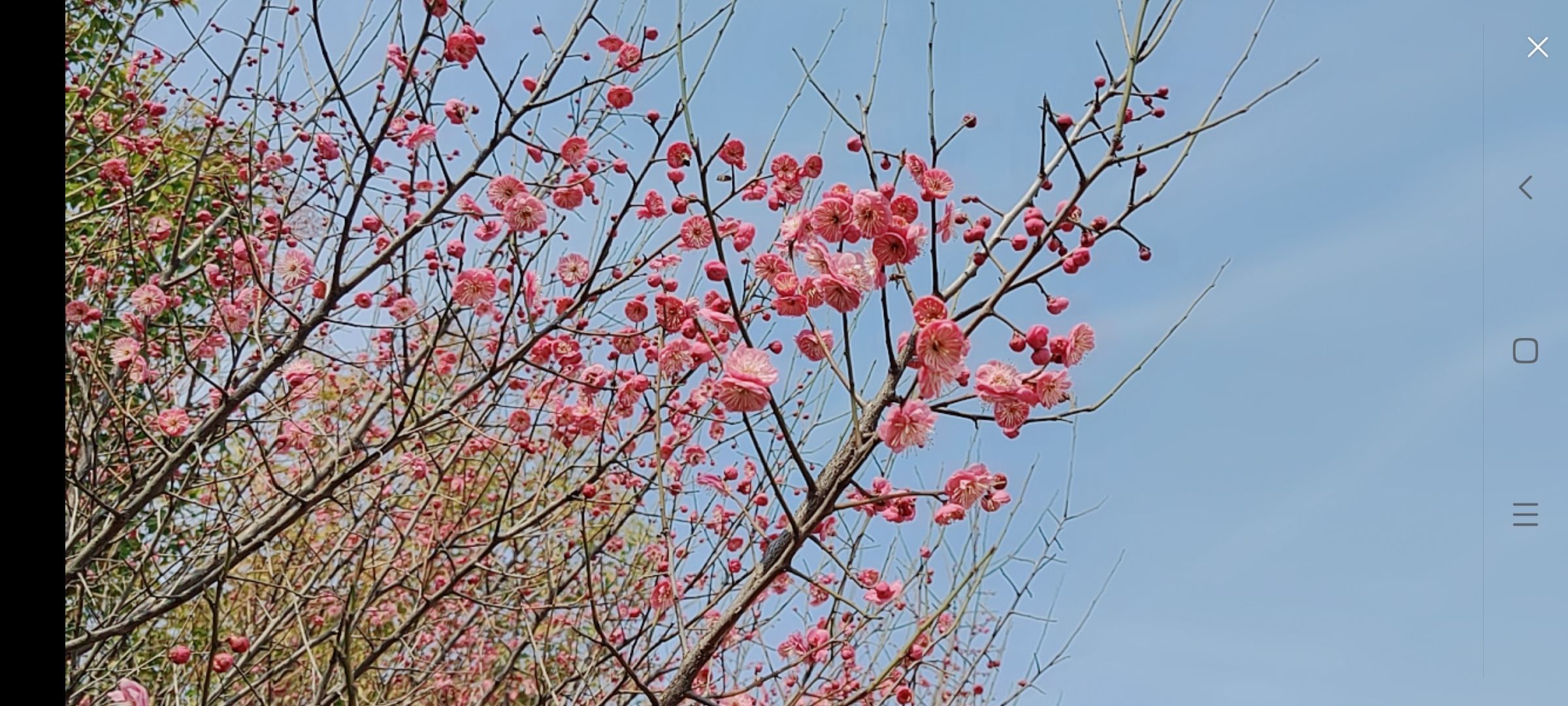 婷婷💕感恩有你陪伴的图片