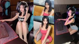 柏拉图.东b的图片