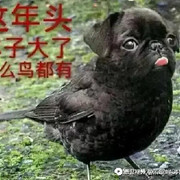 枯酒空杯影