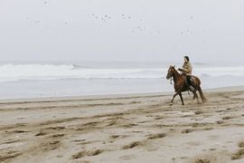 超持久“桑拿天”来了主播照片