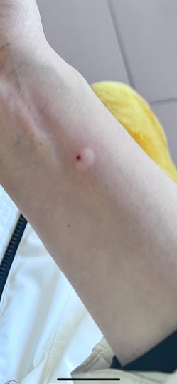夏目💕七养病主播照片