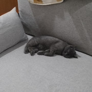 余爱上你