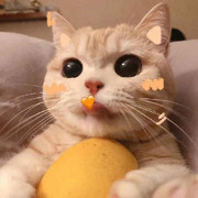 春风十里不同天头像