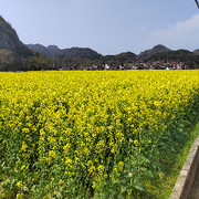 沙漠@：风景的头像