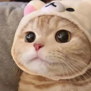 过往_云烟