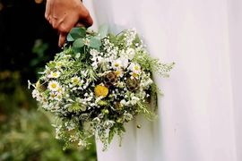 September★主播照片