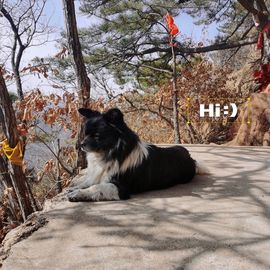 阳阳🌾明天见主播照片
