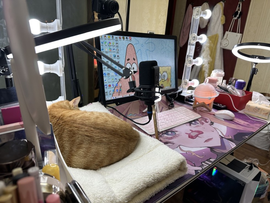 243726672主播照片