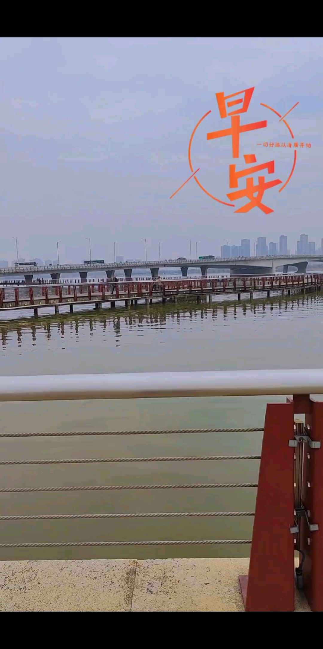 🌤◡̈°一路向阳美好