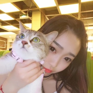 旺崽饿了视频聊天