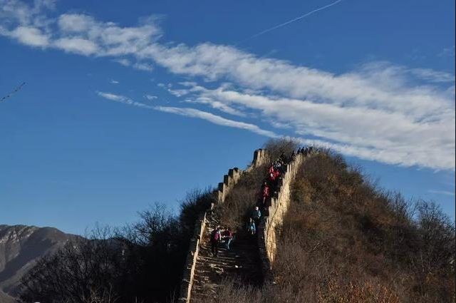 不许揪我的小耳朵的主播照片