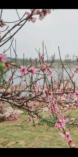 早安☀新的一天，让快