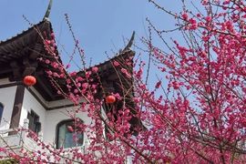 超持久“桑拿天”来了主播照片