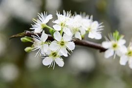 September★主播照片