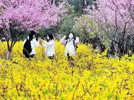 September★主播照片