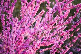 超持久“桑拿天”来了主播照片