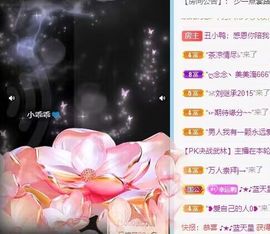 丑小鸭💞愿有一束光主播照片