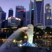 加一炮的头像