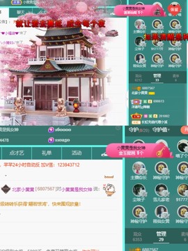 北家黄黄求票主播照片