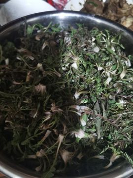 聆听~爱唱歌的图片