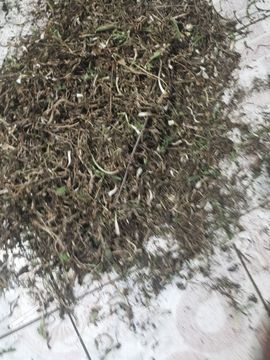 聆听~爱唱歌的图片