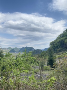 一夏吖退~主播照片