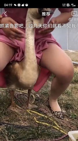 疯和尚——释真明主播照片