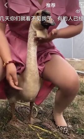 疯和尚——释真明主播照片