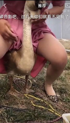 疯和尚——释真明主播照片