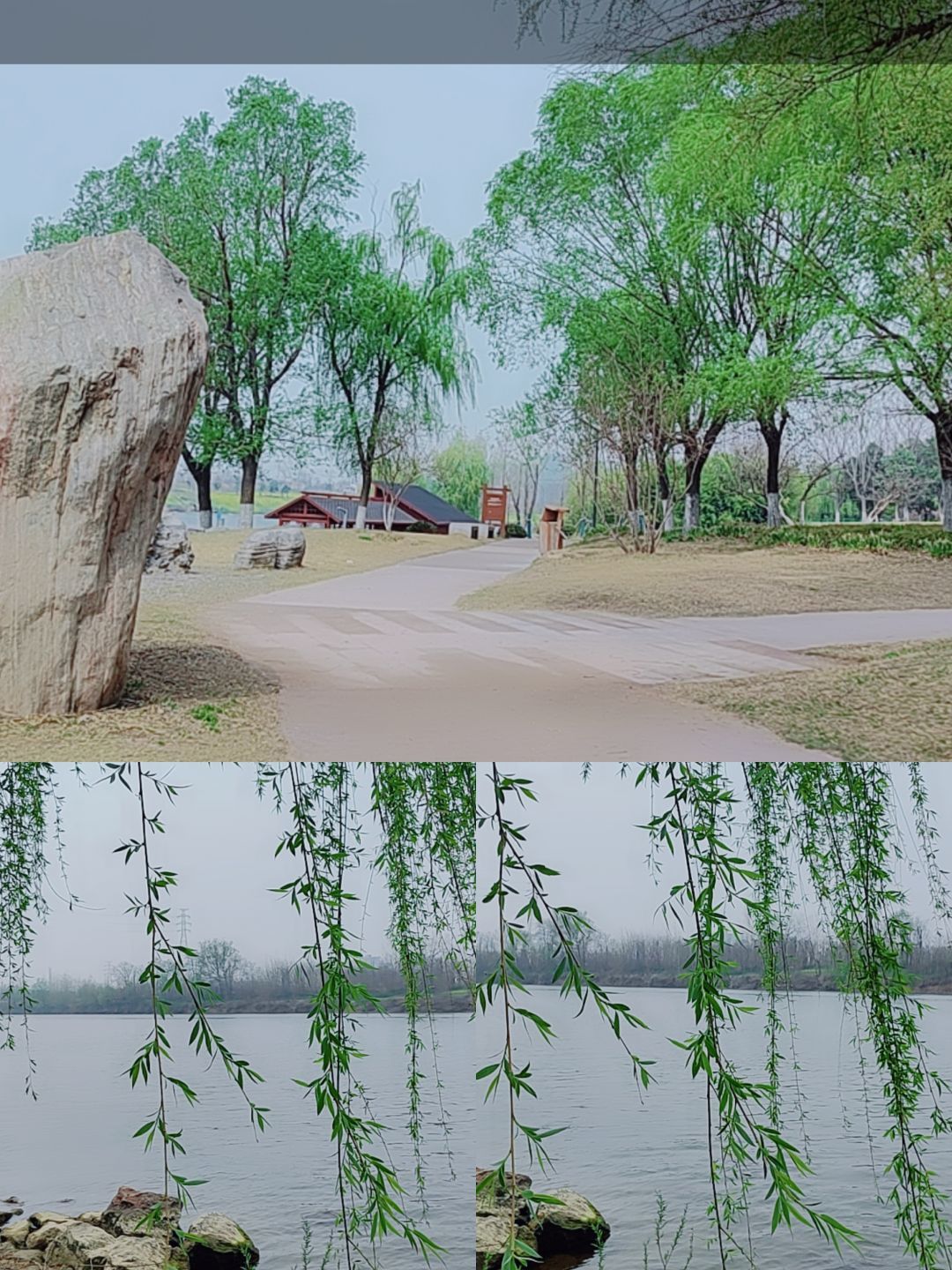 婷婷祝大家五一快乐的图片