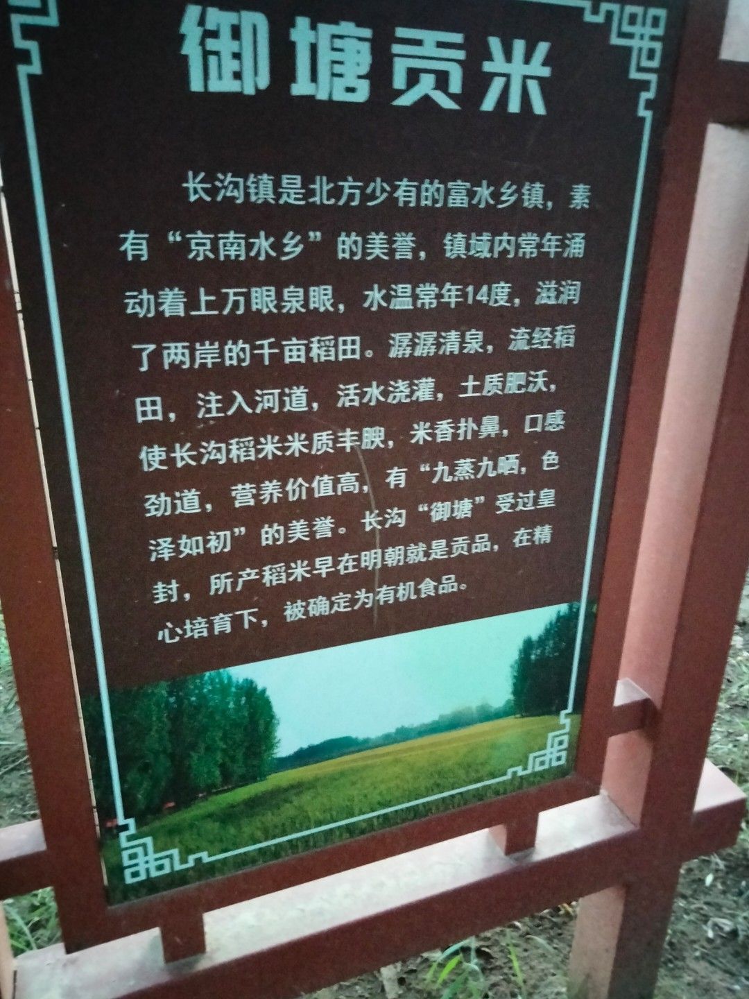 ，北飘的我的图片