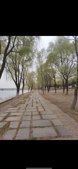 活宝黑妮的图片