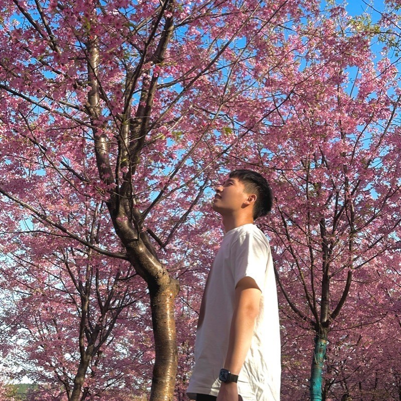 哥哥来了👑的主播海报