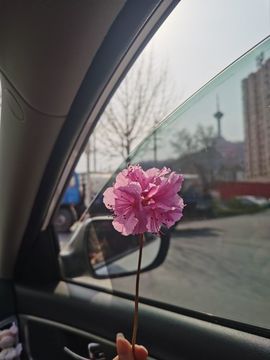 ღ瑋玮的图片