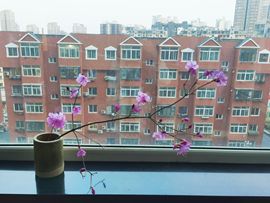 ღ瑋玮的图片