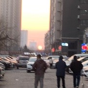 小小小猫驴的头像