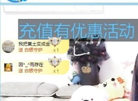 金牌代理❤玲儿❤主播照片